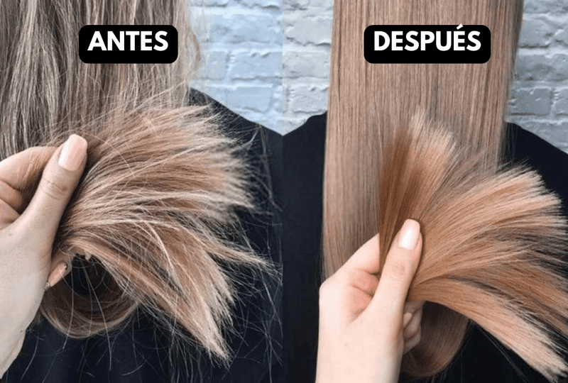 HairGuard - Cortador de Puntas Abiertas Para Cabello Seco, Dañado y Quebradizo